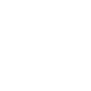 Home Icon